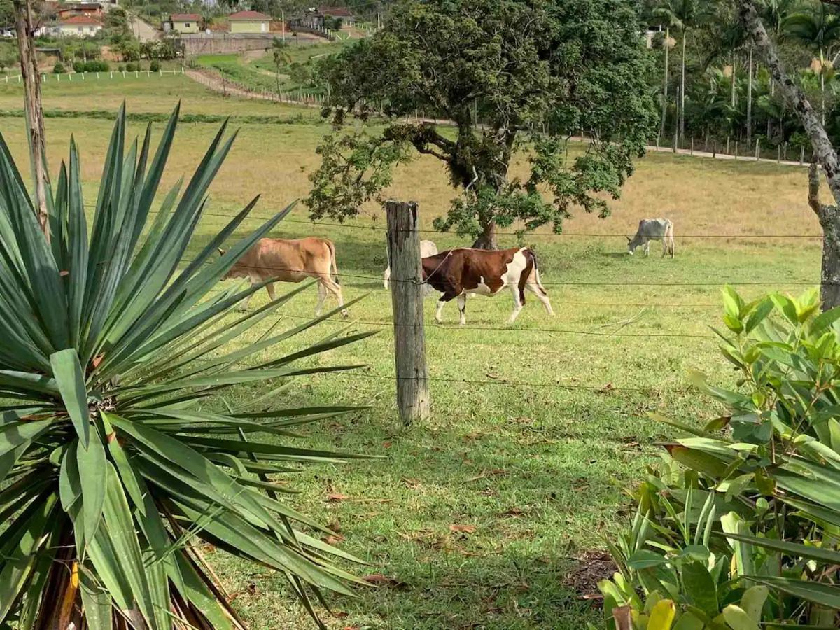 Sitio Canta Galo Governador Celso Ramos Bagian luar foto